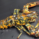 Illustration for article titled Crazy Orange Camo Lobster Caught Off the Coast of Maine
